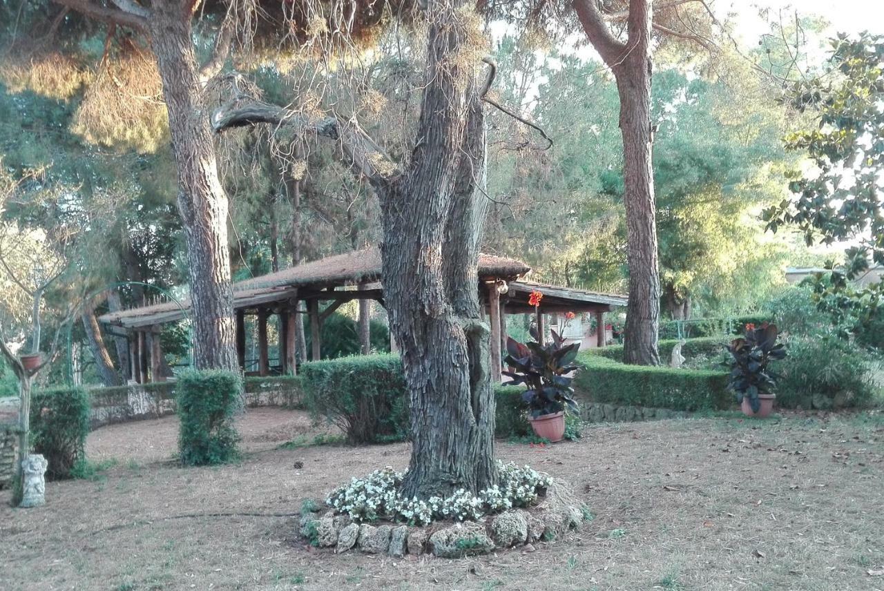 Alloggio per agriturismo - Quarto Del Cuore